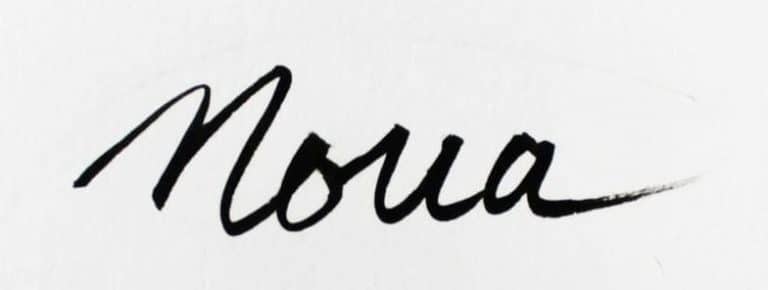 Noua Boutique Noua - fibula bijouterie